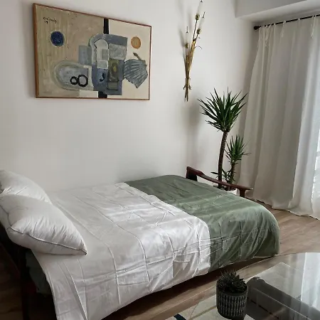 Felix Faure Palais Des Festivals Croisette Vieux Port קאן