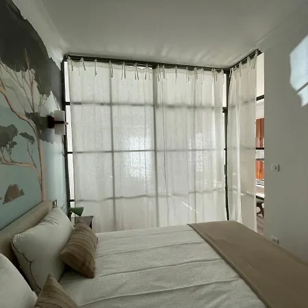 Felix Faure Palais Des Festivals Croisette Vieux Port